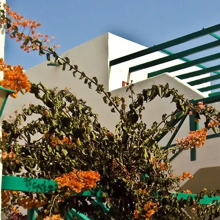 Celeste Costa Teguise